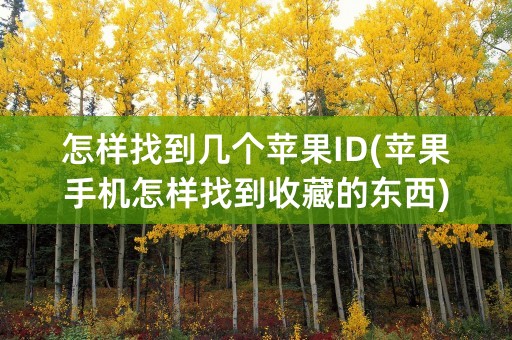 怎样找到几个苹果ID(苹果手机怎样找到收藏的东西)