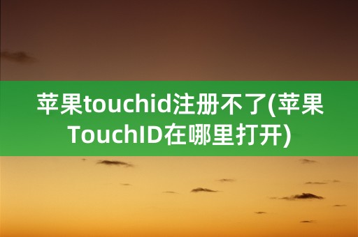 苹果touchid注册不了(苹果TouchID在哪里打开)