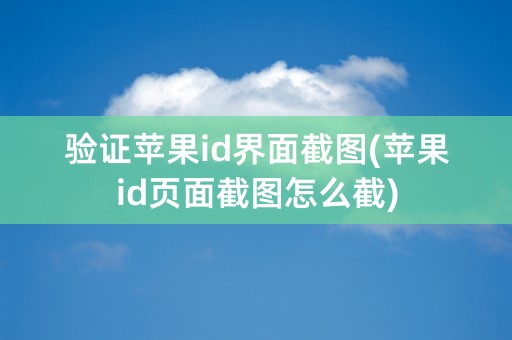 验证苹果id界面截图(苹果id页面截图怎么截)