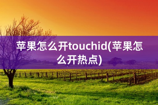 苹果怎么开touchid(苹果怎么开热点)