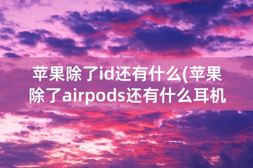 苹果除了id还有什么(苹果除了airpods还有什么耳机好用)