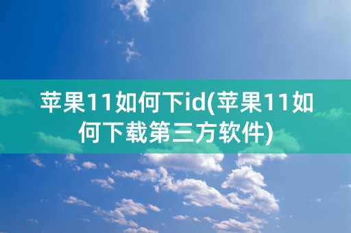 苹果11如何下id(苹果11如何下载第三方软件)