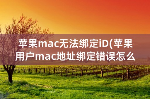 苹果mac无法绑定iD(苹果用户mac地址绑定错误怎么解决)