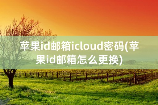 苹果id邮箱icloud密码(苹果id邮箱怎么更换)