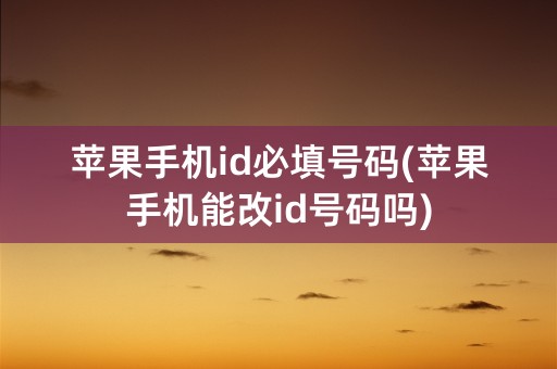 苹果手机id必填号码(苹果手机能改id号码吗)