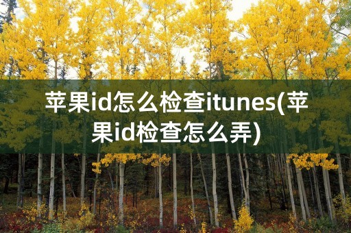 苹果id怎么检查itunes(苹果id检查怎么弄)