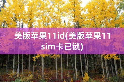 美版苹果11id(美版苹果11sim卡已锁)