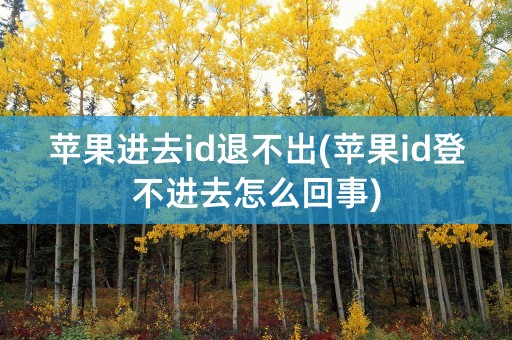 苹果进去id退不出(苹果id登不进去怎么回事)