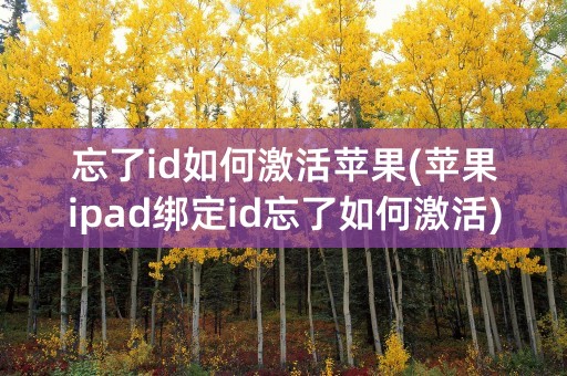 忘了id如何激活苹果(苹果ipad绑定id忘了如何激活)