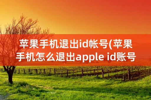 苹果手机退出id帐号(苹果手机怎么退出apple id账号)