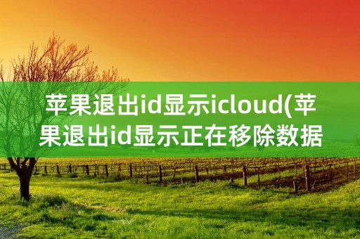 苹果退出id显示icloud(苹果退出id显示正在移除数据)