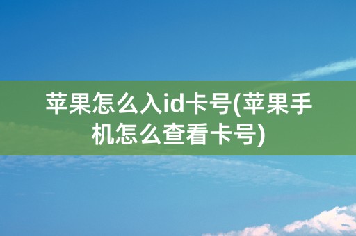 苹果怎么入id卡号(苹果手机怎么查看卡号)