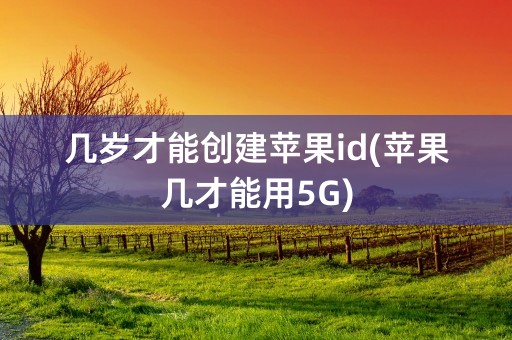 几岁才能创建苹果id(苹果几才能用5G)