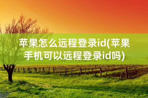 苹果怎么远程登录id(苹果手机可以远程登录id吗)