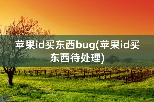 苹果id买东西bug(苹果id买东西待处理)