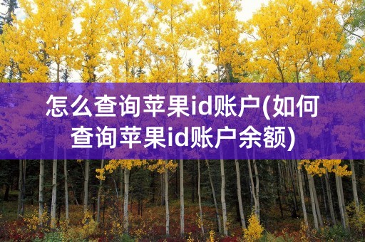 怎么查询苹果id账户(如何查询苹果id账户余额)