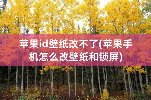 苹果id壁纸改不了(苹果手机怎么改壁纸和锁屏)