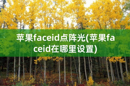 苹果faceid点阵光(苹果faceid在哪里设置)