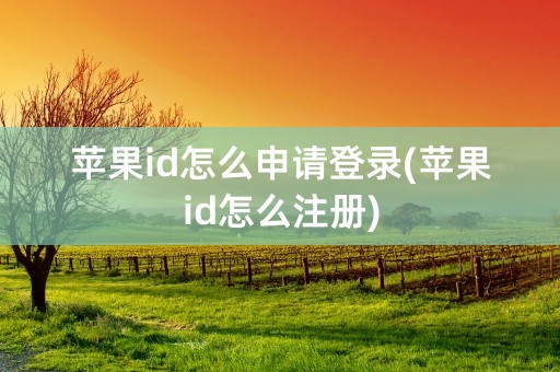 苹果id怎么申请登录(苹果id怎么注册)