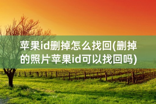 苹果id删掉怎么找回(删掉的照片苹果id可以找回吗)