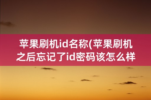 苹果刷机id名称(苹果刷机之后忘记了id密码该怎么样激活)