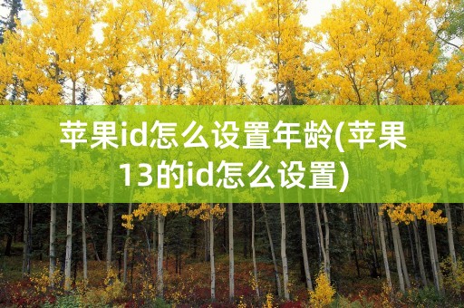 苹果id怎么设置年龄(苹果13的id怎么设置)