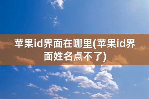 苹果id界面在哪里(苹果id界面姓名点不了)