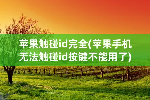 苹果触碰id完全(苹果手机无法触碰id按键不能用了)