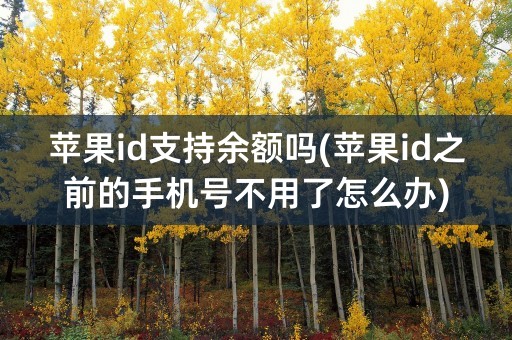 苹果id支持余额吗(苹果id之前的手机号不用了怎么办)