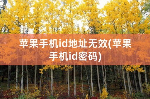 苹果手机id地址无效(苹果手机id密码)