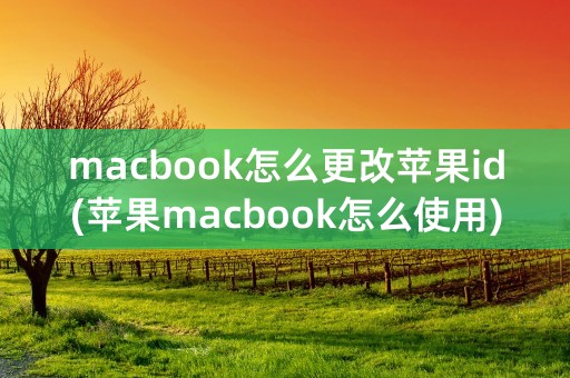 macbook怎么更改苹果id(苹果macbook怎么使用)