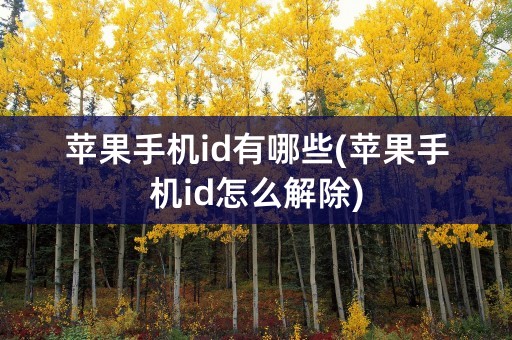 苹果手机id有哪些(苹果手机id怎么解除)