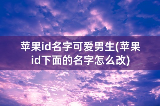 苹果id名字可爱男生(苹果id下面的名字怎么改)