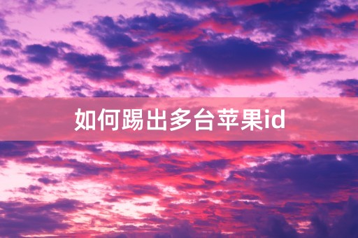 如何踢出多台苹果id