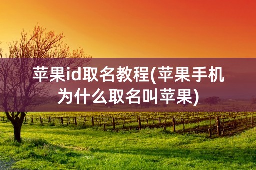 苹果id取名教程(苹果手机为什么取名叫苹果)