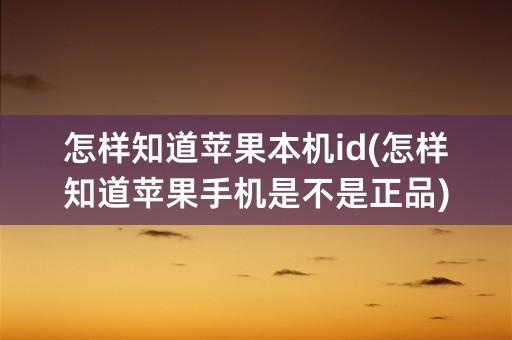 怎样知道苹果本机id(怎样知道苹果手机是不是正品)