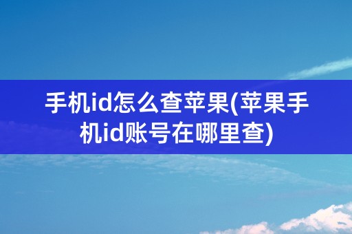 手机id怎么查苹果(苹果手机id账号在哪里查)