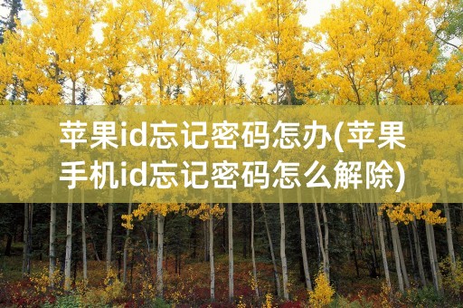 苹果id忘记密码怎办(苹果手机id忘记密码怎么解除)