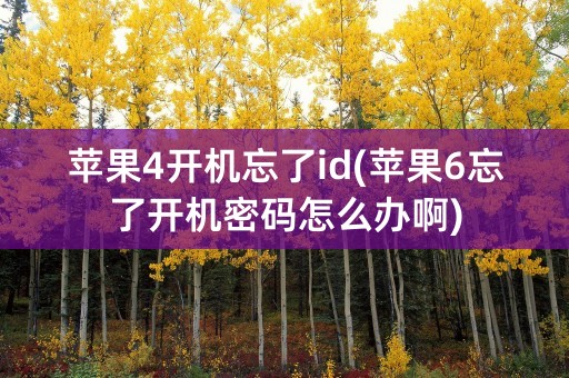 苹果4开机忘了id(苹果6忘了开机密码怎么办啊)