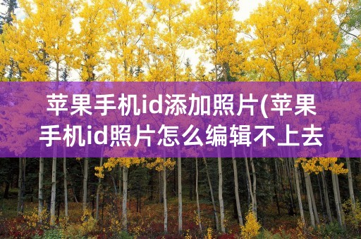 苹果手机id添加照片(苹果手机id照片怎么编辑不上去)