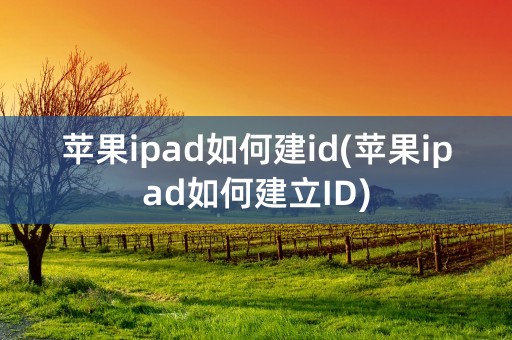 苹果ipad如何建id(苹果ipad如何建立ID)