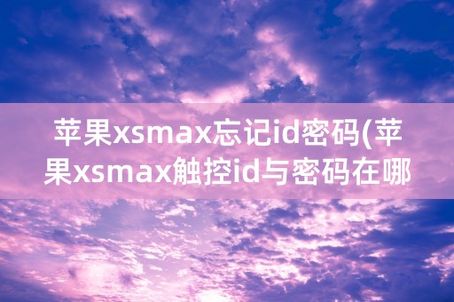 苹果xsmax忘记id密码(苹果xsmax触控id与密码在哪里)