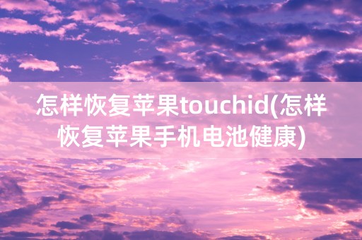 怎样恢复苹果touchid(怎样恢复苹果手机电池健康)