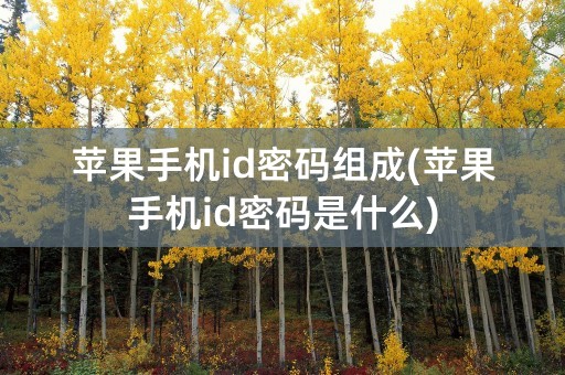 苹果手机id密码组成(苹果手机id密码是什么)