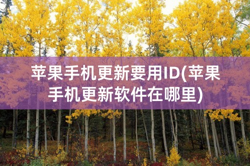 苹果手机更新要用ID(苹果手机更新软件在哪里)