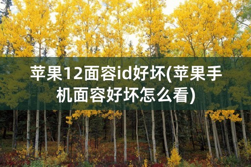 苹果12面容id好坏(苹果手机面容好坏怎么看)