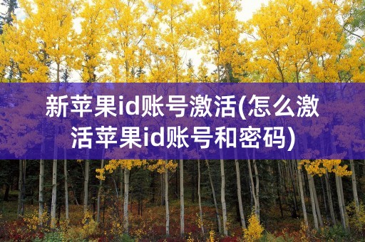 新苹果id账号激活(怎么激活苹果id账号和密码)