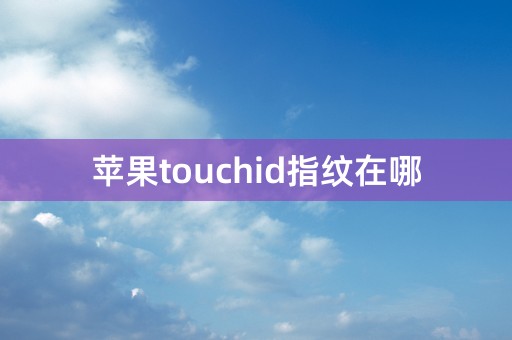 苹果touchid指纹在哪