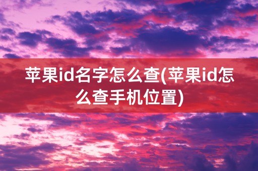 苹果id名字怎么查(苹果id怎么查手机位置)