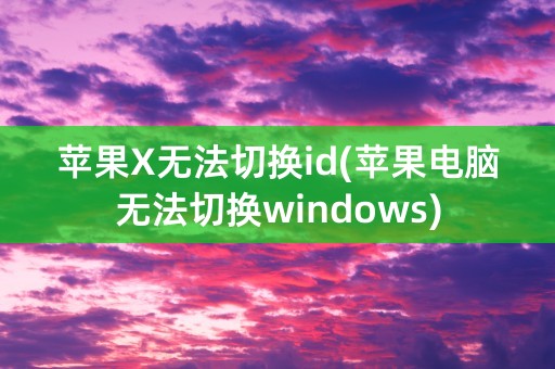 苹果X无法切换id(苹果电脑无法切换windows)